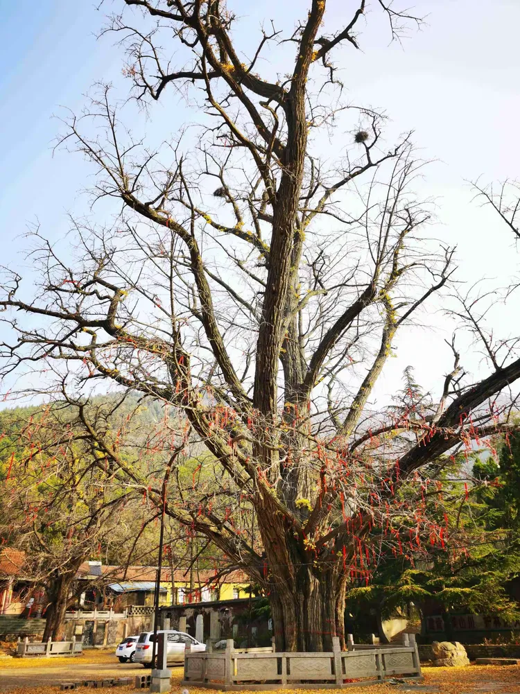 石莱镇白马寺
