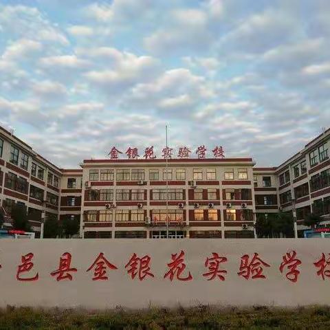 青年教师展风采，教学展示促提升——金银花实验学校三年级语文组青年教师展示课活动记实