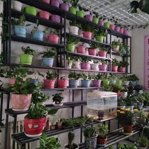 构建校园文化，凸显学校特色