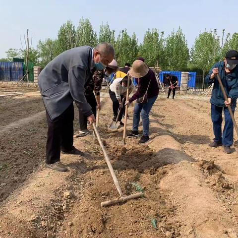 “趣访田间路，乐举泥中锄”——东营市胜利花苑中学蔬菜种植综合实践活动