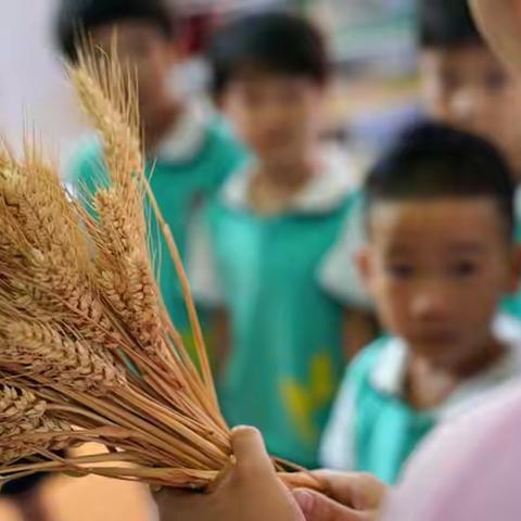 东湖庄小学开展“弘扬勤俭节约美德  争做新时代好队员”系列活动