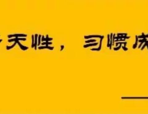 少若天成，习惯成自然——白中镇中心小学行为习惯养成活动月