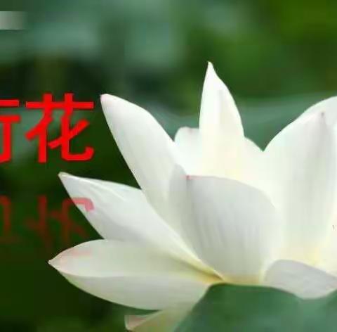 南靖县小学三年级语文电子书包