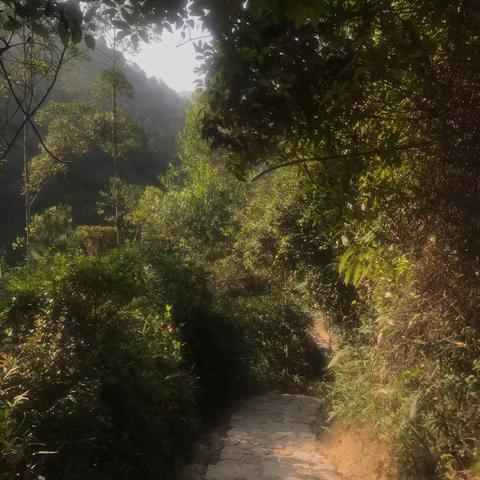 珠海凤凰山&普陀寺