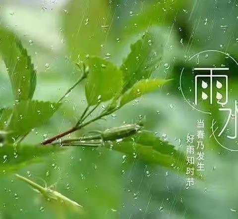 春风化雨  润物无声——文庙学区前薛窝小学二十四节气综合实践活动