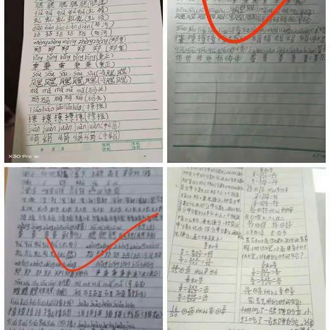 架起空中课堂，共享成长天空