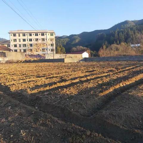 聚焦｜普乐学校劳动实践基地“开工”了