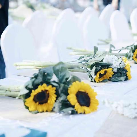 瑜见侨城美好，悠然雅致生活