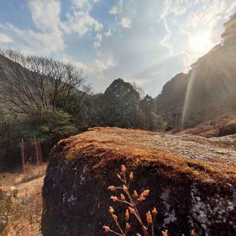 梵尘·若水的春游