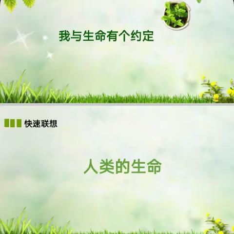 生命重于泰山——宁陵二高国学课堂简记