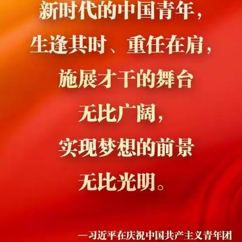 邢台市第二十三中学学习习总书记 “中国共产主义青年团成立100周年大会” 讲话精神主题中队会