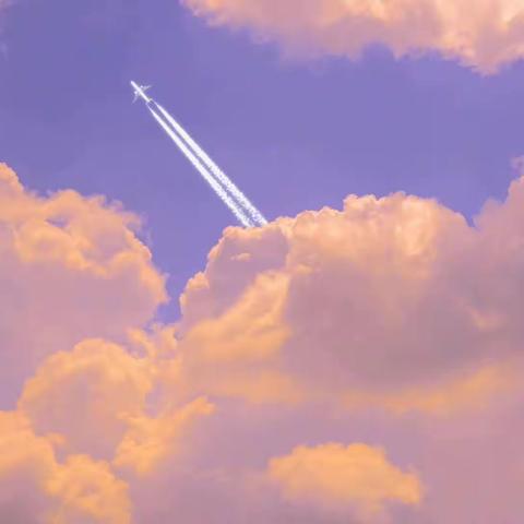 给灵魂伴侣张柳