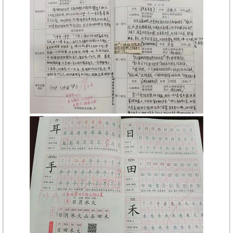 【教育质量提升行动 | 第25期 】立足常规抓教学，深入检查促提升———长淮新村小学开展教学常规检查活动