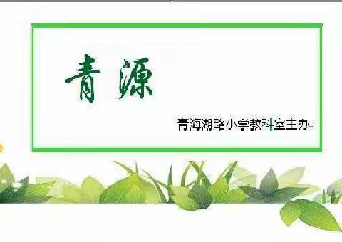 《青源》教师刊第34期