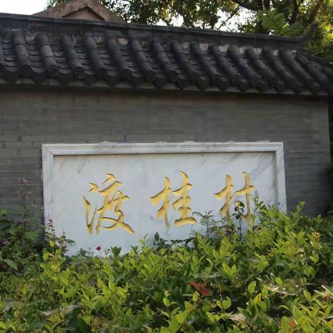 江宁湖熟杜桂村寻访