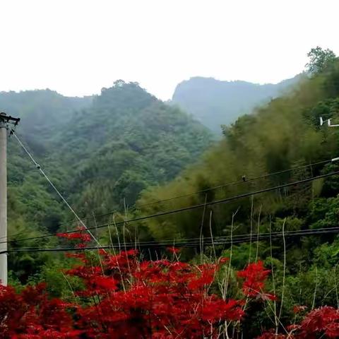 又是“五一”节，抗疫防疫山中居