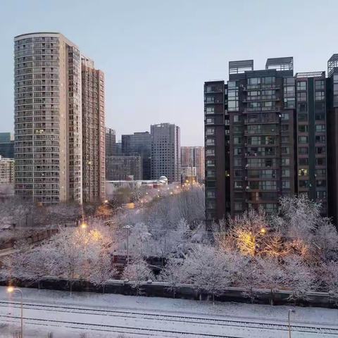 雪后院中美景