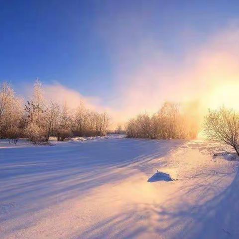 界牌中心小学三（13）班第三场线上交流活动—父母的行为会影响孩子的一生