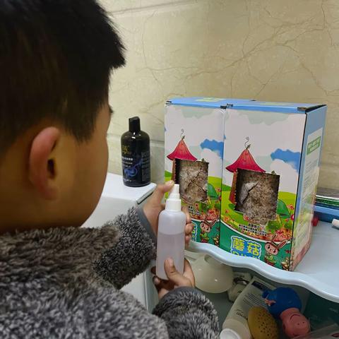 “你好！寒假”之魔力菌菇