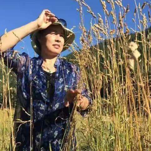 一所老房子