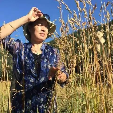 守方寸屏幕   乘一网云端   嗅几缕墨香