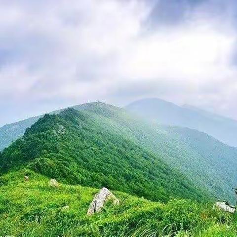 秦岭十峰：5月15号（周日）挑战东秦岭第一峰：草链岭登高U型穿越、赏高山杜鹃花开一日游