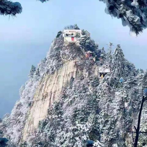 东观音山登高穿越喂子坪，赏秦岭雪景一日游