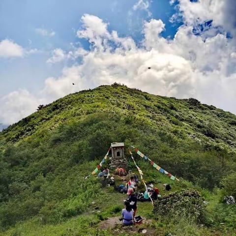 6月27号（周日）箭峪岭登高山草甸、赏山花烂漫一日游