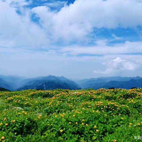 9月11号（周六）箭峪岭登高山草甸、赏山花烂漫一日游