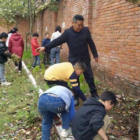劳动励心智 实践促成长 ——云义小学开展劳动实践活动掠影