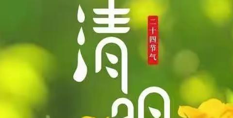 ☘️“春雨润于心，清明融于情”——新苗幼儿园清明节美篇