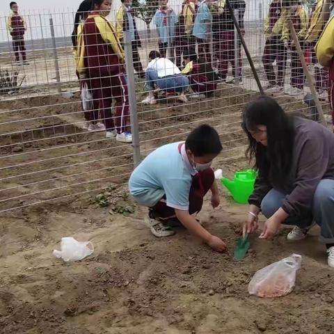 体验劳动之美，共享劳动喜悦— 管洽小学三2班劳动实践活动纪实