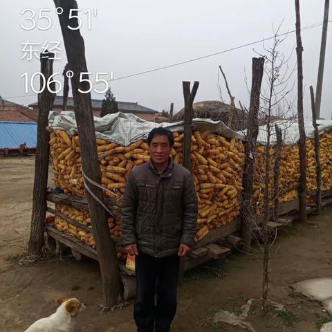 大事件:镇原武沟乡张岘村范师傅火了🔥🔥（点击下方全部文章看视频）