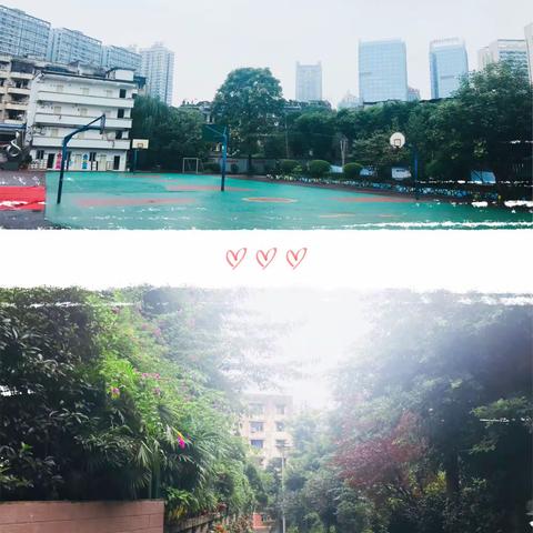 专家引领解疑惑，科研路上不停歇—重庆市教育科研骨干教师培养对象培训（十二）