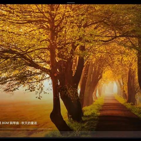 把脉课堂促教学 网络教研促成长——连城小学综合组线上教研活动