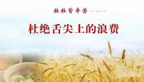 从我做起，杜绝“舌尖上的浪费”——滨小晨曦队员在行动