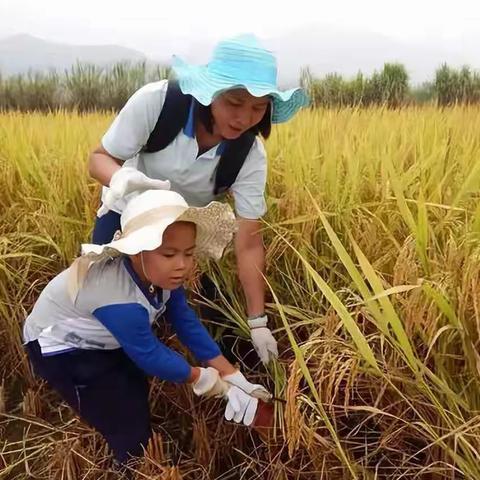 “书香飘粮家”绿色粮城实践活动