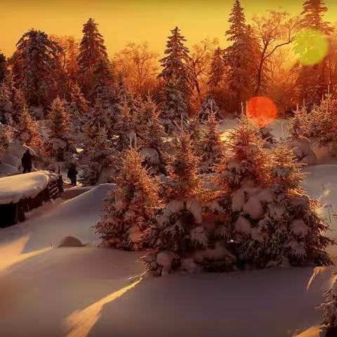 感恩摄影，带给我新的生活