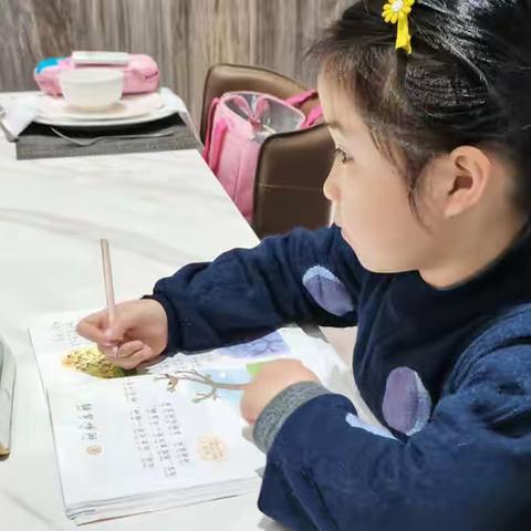 宅家“别样”学习也精彩