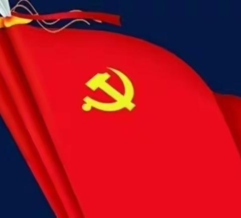 密山市兴凯镇小学党支部开展预备党员转正大会