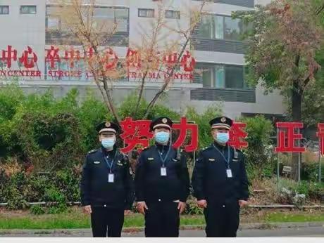 紫薇执法中队2022年11月21日工作总结