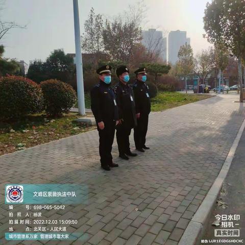 紫薇执法中队2022年12月3日工作总结