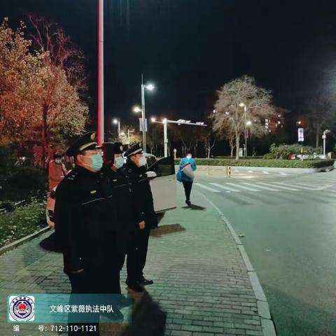 紫薇执法中队2022年12月13日工作总结