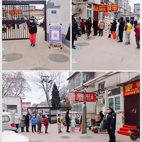 紫薇执法中队2022年11月29日工作总结