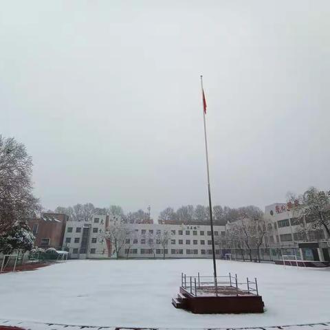 停课不停练，运动不停歇——东方第三小学学生居家体育锻炼篇