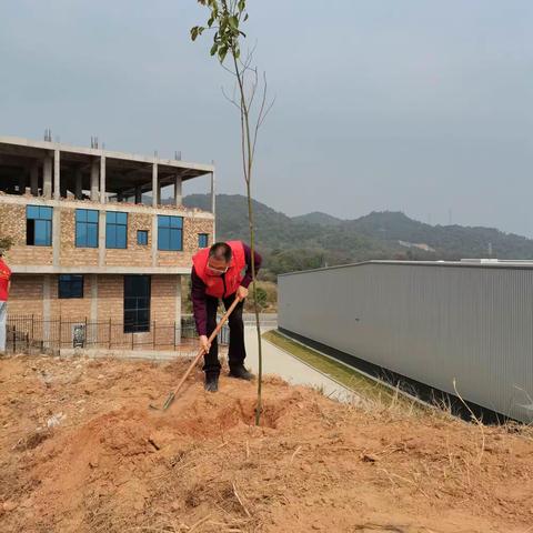 【南安义工】植树护绿，志愿同行