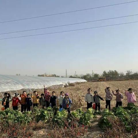 爱在博苑之西––葡萄牙