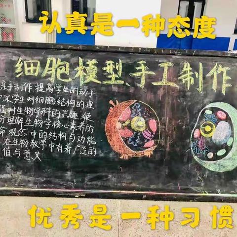 动手动脑学生物，细胞模型现光彩