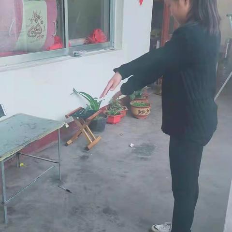 花样年华，活力绽放。