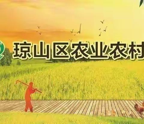 琼山区农业农村局局属动物疫控中心召开作风整顿建设年动员部署会议